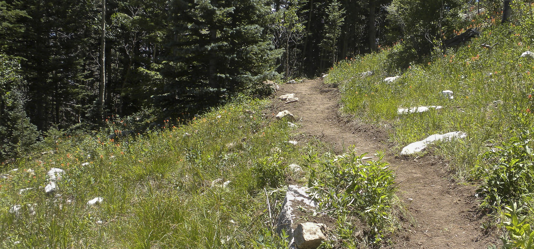 Domingo Baca Trail  New Mexico Meanders