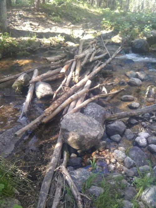 Log crossing on Rio Nambe Trail