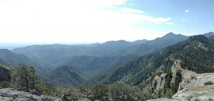 Timber Peak Trail (Magdalena RD)