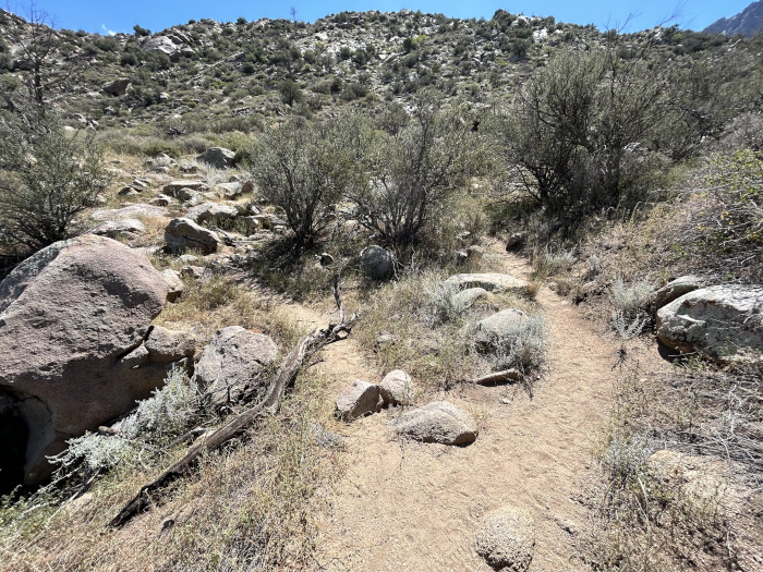 Organ Mountains Aguirre Springs Recreation Area (Las Cruces BLM)