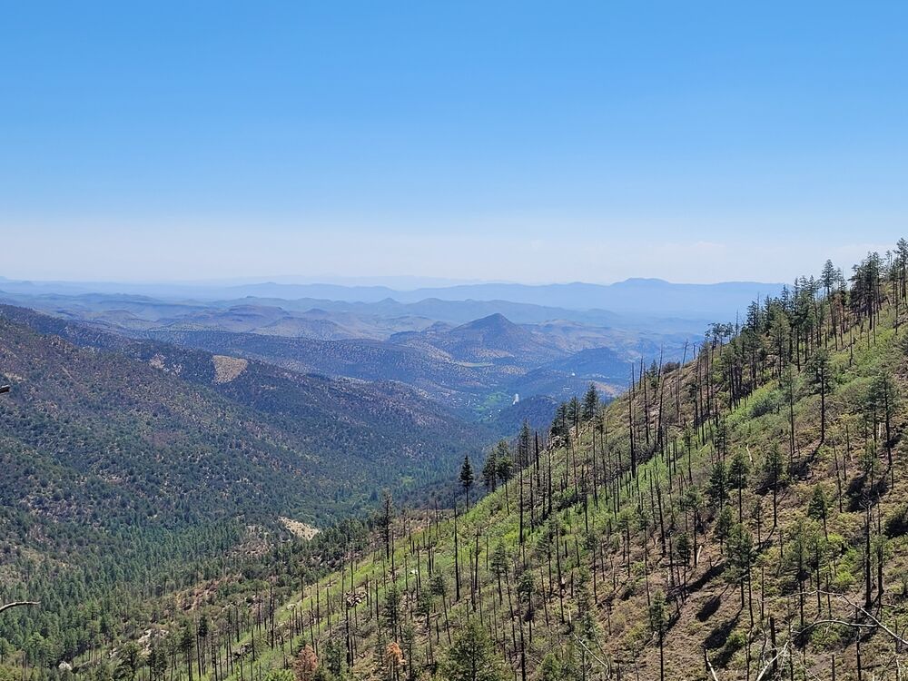 Emory Pass Scenic Trail (Gila NF)