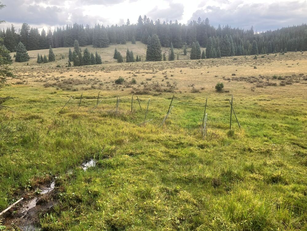 San Pedro Parks Fen Fencing Backpack